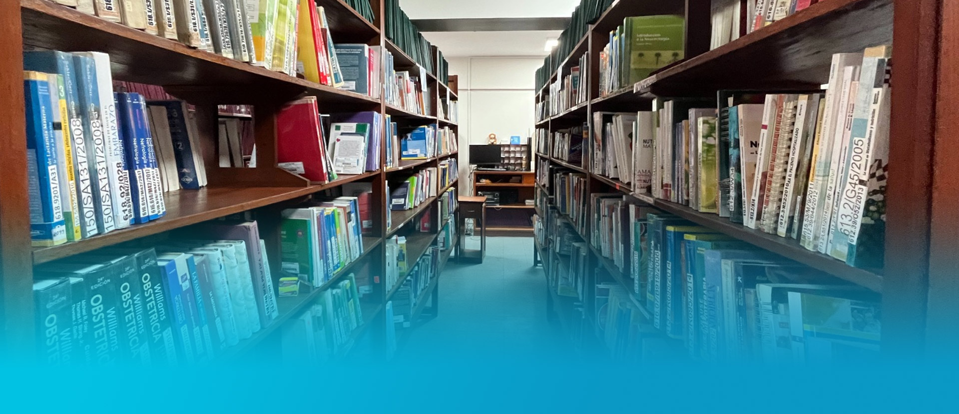 Biblioteca 2